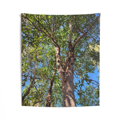 Tree Canopy Wall Tapestry – Forest Nature Photography Indoor Decor