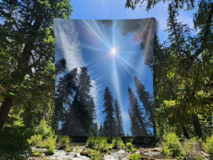 Sunburst Forest Tapestry — Scenic Sky & Tall Pines Wall Hanging