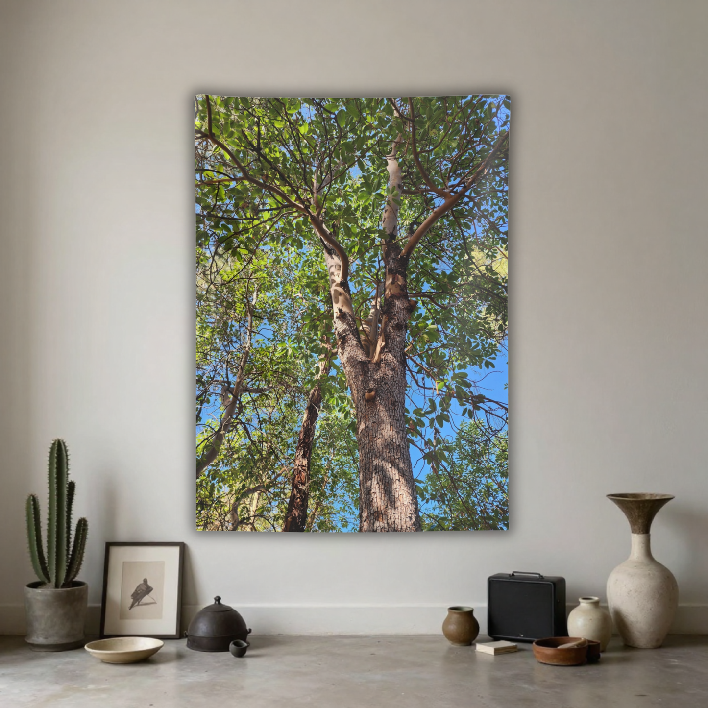 Tree Canopy Wall Tapestry – Forest Nature Photography Indoor Decor