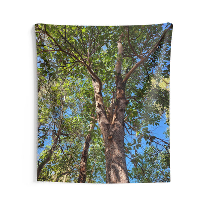 Tree Canopy Wall Tapestry – Forest Nature Photography Indoor Decor