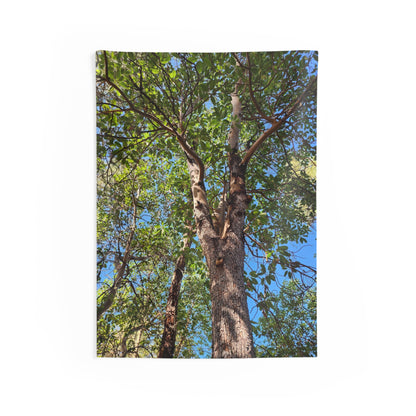Tree Canopy Wall Tapestry – Forest Nature Photography Indoor Decor